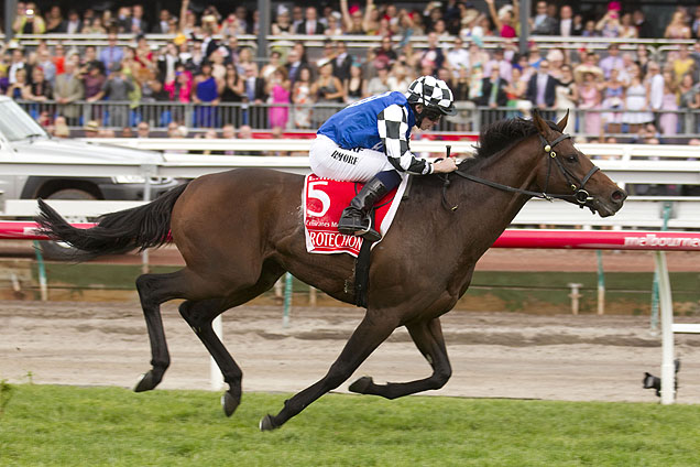 Protectionist wins the 2014 Melbourne Cup