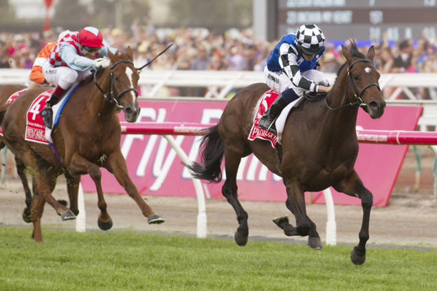 Protectionist winning the Emirates Melbourne Cup