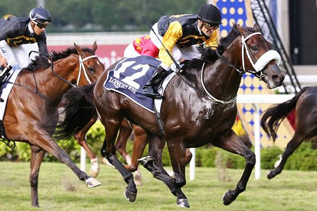 Quechua is suited by the weight for age scale of the Chairman's Trophy.