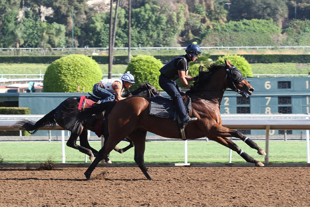 Michael Chang-trained Rich Tapestry (near side), ridden by work rider Vincent Sit, has his final gallop at Santa Anita