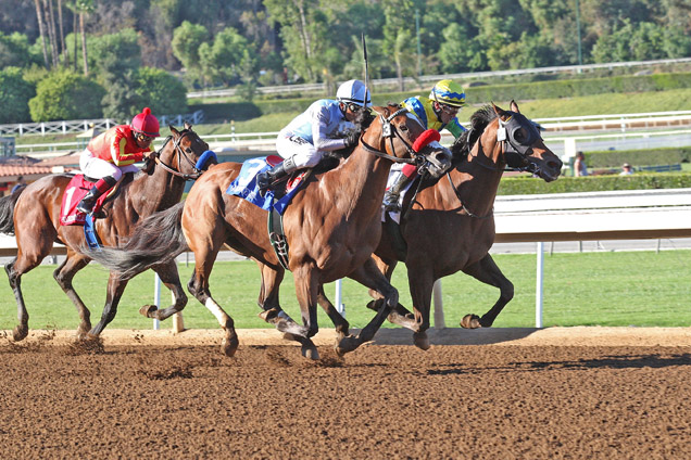 Rich Tapestry (yellow cap), ridden by jockey Olivier Doleuze, edges Goldencents (white cap) to win the G1 Santa Anita Sprint Championsh