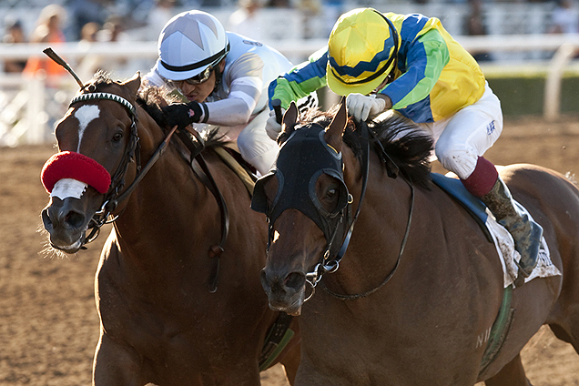 Rich Tapestry (yellow cap), ridden by jockey Olivier Doleuze, edges Goldencents (white cap) to win the G1 Santa Anita Sprint Championsh