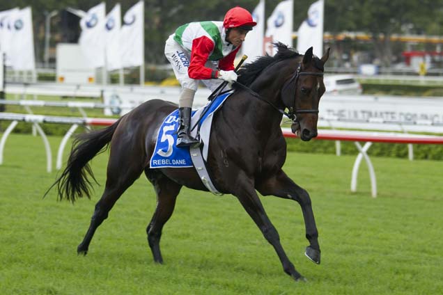 Recent history suggests Rebel Dane is the horse to beat in the Missile Stakes