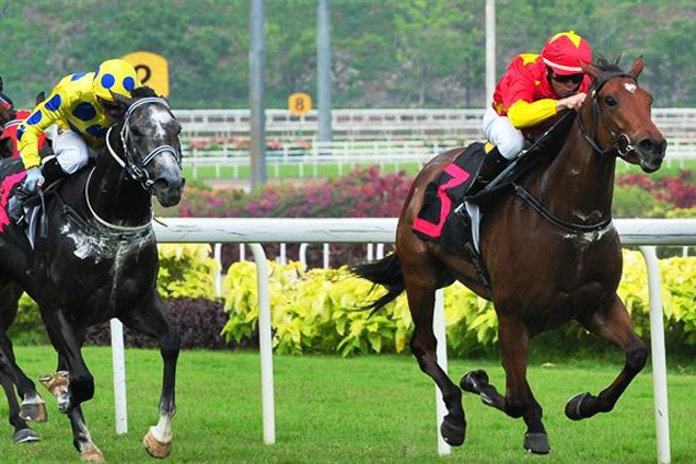 Rite Of Spring (Manoel Nunes) makes a winning return from a three-month spell to take out Race 7 on Sunday.