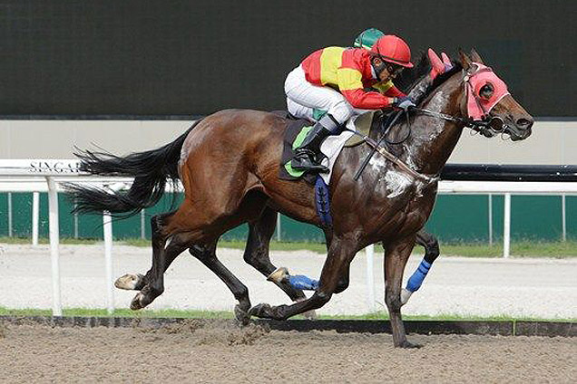 Robert E (Matthew Kellady) brings up a treble for trainer Shane Baertschiger.