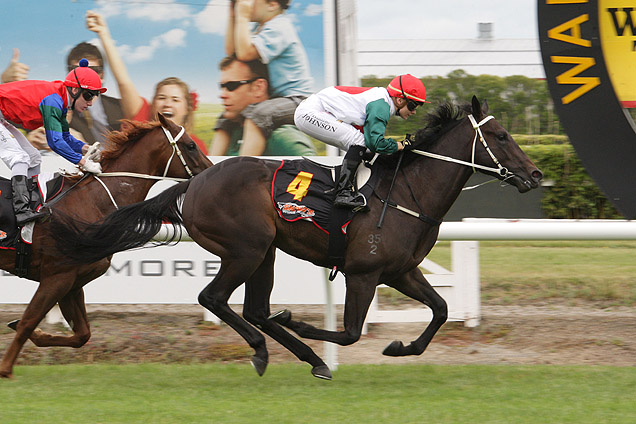 Rocanto winning the Wentwood Grange Premier Stakes.