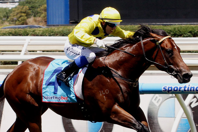 Rubick is a hot favourite to win Saturday's Blue Diamond