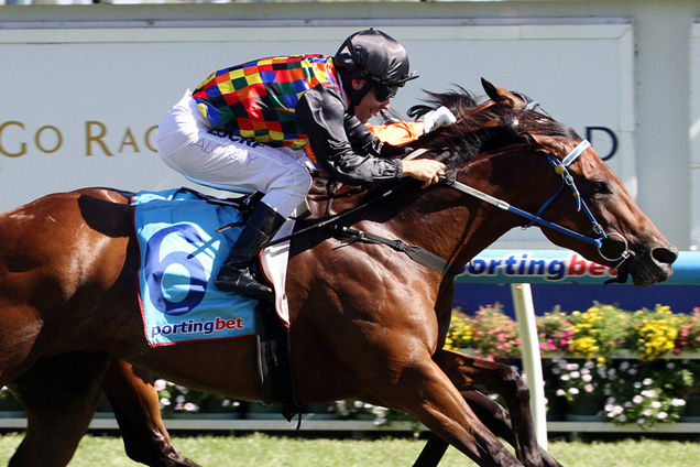 Shamal Wind looks to unleash her great last furlong at Caulfield