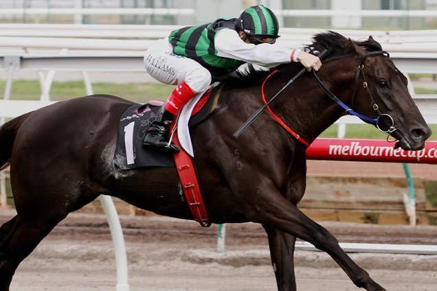 Shamus Award top Timeform rated Three-year-old Shamus Award top Timeform rated Three-year-old