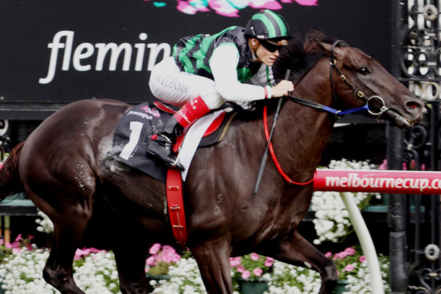 Shamus Award winning the Australian Guineas