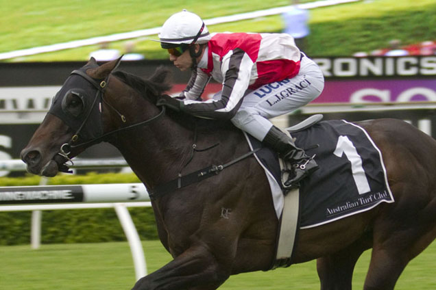 Shelford winning the Royal Randwick (Rs1mw).