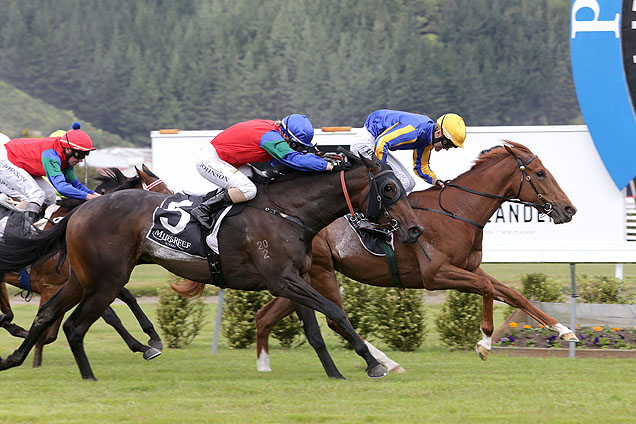Showboy wins the Challenge Stakes