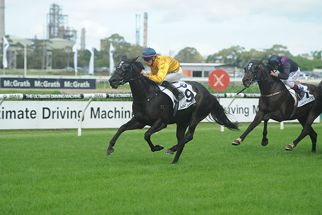 Silent Achiever winning the The Bmw