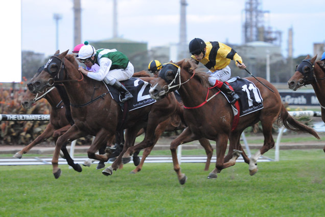 Skip Town wins at Rosehill