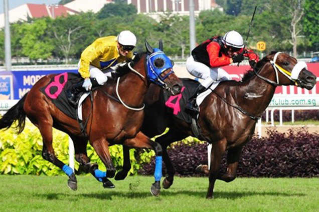 Jockey John Powell (red sleeves) drives Slew Of Lode through a gap to beat Euro Zone