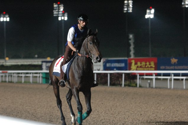 Smoking Sun Settling Into Kranji