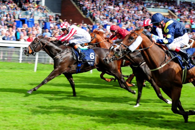 Sole Power winning the Coolmore Nunthorpe Stakes (British Champions Series) (Group 1)