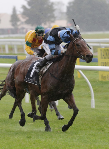 Soriano winning the Agrodome Rotorua Plate