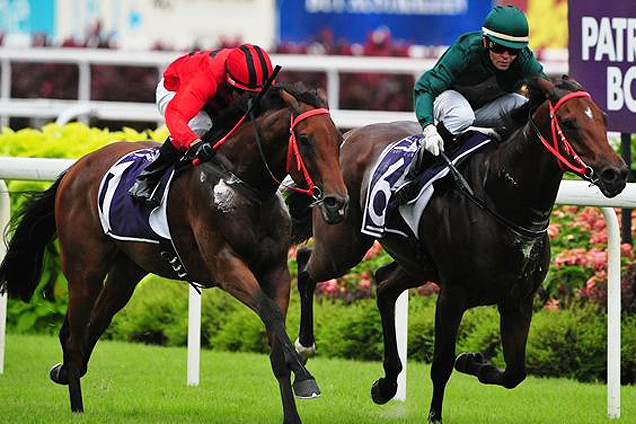 Spalato (Manoel Nunes, green cap) leads a wire-to-wire victory in the Group 1 Patron's Bowl on Sunday.