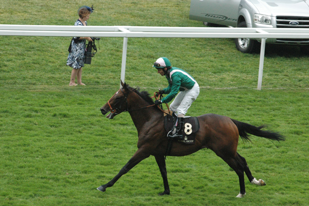 Spark Plug running in the Tercentenary Stakes (Formerly The Hampton Court Stakes) (Group 3)