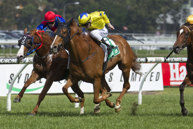 Without A Shadow (inside) finishes second at Rosehill