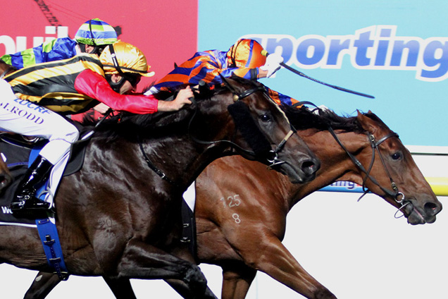 Spirit Of Boom winning the Hacer Group William Reid Stks Spirit Of Boom winning the Hacer Group William Reid Stks