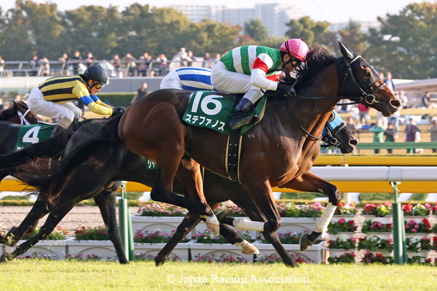 Staphanos winning the THE SAUDI ARABIA ROYAL CUP FUJI STAKES(G3)