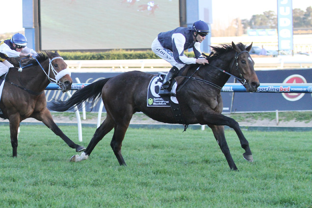 Stipulate winning the Aust. T'bred Bloodstock Stakes.