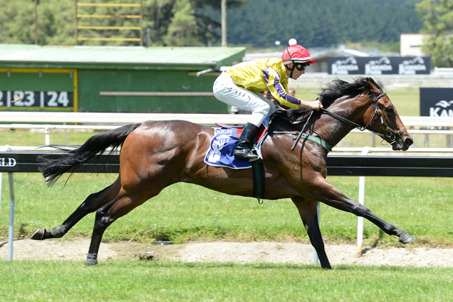 Strata Lady winning the McEntee Event Hire 2yo.