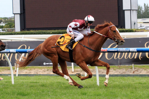 Stratum Star winning the Crown Lager Stakes