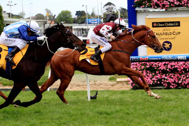 Stratum Star value at Caulfield