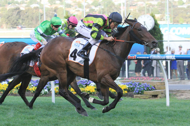 Suavito winning the Eliza Park International Stks.