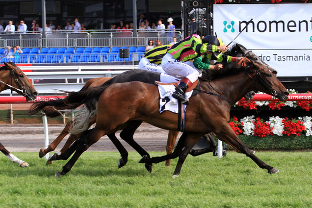 Suavito winning the Momentum Energy Stakes