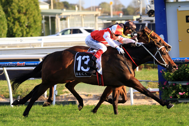 Target In Sight winning the Beck Probuild Testa Rossa Stks