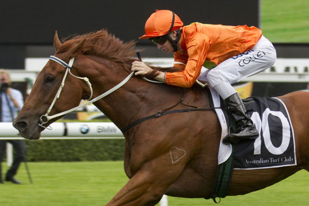 Terravista was too good in the Southern Cross Stakes