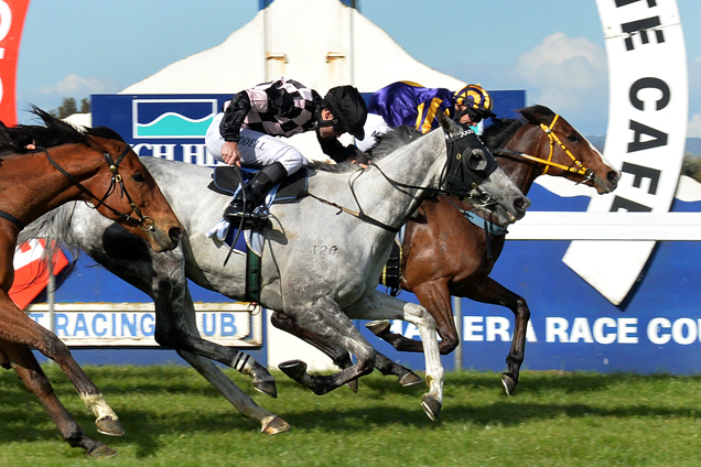 The Filly winning the Rich Hill Stud Breeders Stakes