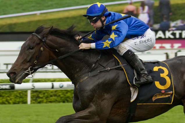 The Offer has escaped a penalty and will carry 54kg in next Tuesday's Melbourne Cup.