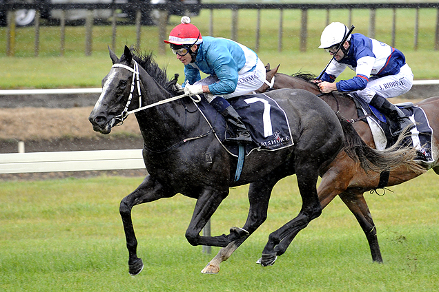 Thee Auld Floozie winning the O'Connor Warren Insurance Hcp -Photo By Kenton Wright