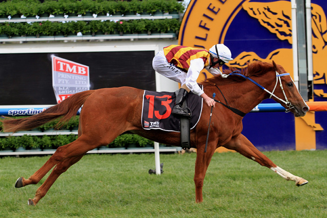 Thinking Of You looks value in the fillies race at Caulfield