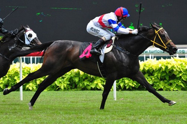 Thumping winning the OPEN BENCHMARK 67, Thumping (Alan Munro) strides away to a third win on Sunday.