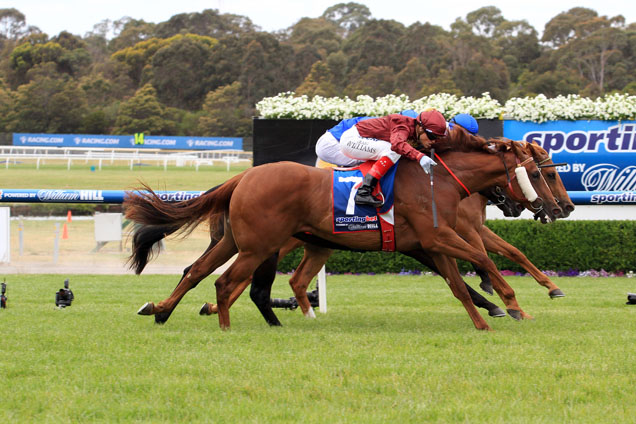 Thurlow winning the Santa's Magical Kingdom Stakes