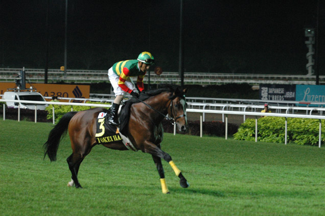 Tokei Halo running in the SINGAPORE AIRLINES INTERNATIONAL CUP 2014
