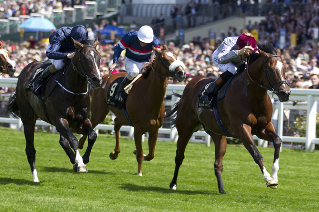 Verrazano Chases Home Toronado In The Queen Anne