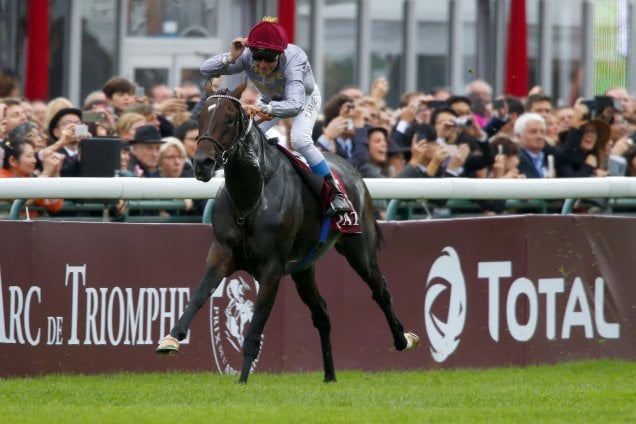 Treve winning the QATAR PRIX DE L'ARC DE TRIOMPHE