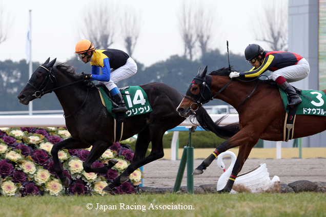 Uliuli winning the THE KYOTO HIMBA STAKES(G3)