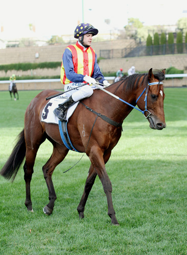 Under The Louvre can win again around the Valley