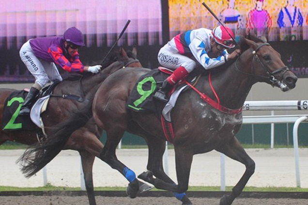 Usain Colt lives up to his name as he scores a comfortable debut victory in Race 2 on Sunday.