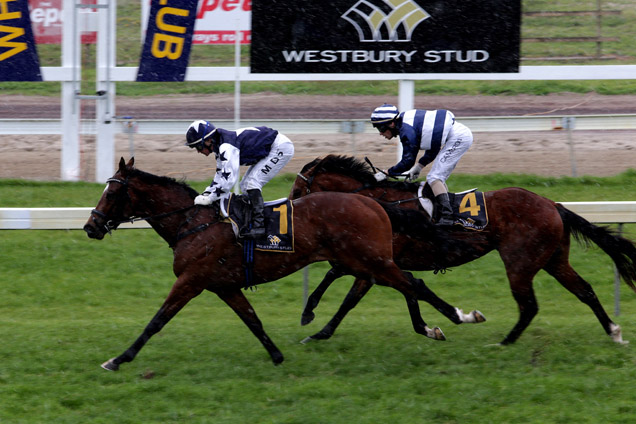 Vespa winning the Westbury Stud Challenge Stakes