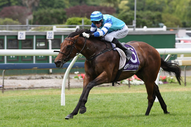 Vinnie Eagle winning the Barneswood Farm Eclipse Stakes