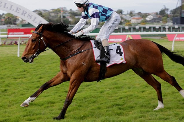 Volkstok'n'barrell winning the Manuka Doctor Bonecrusher Stks